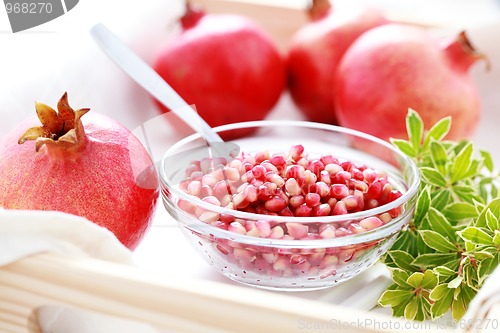 Image of pomegranate