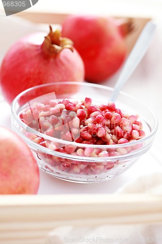 Image of pomegranate