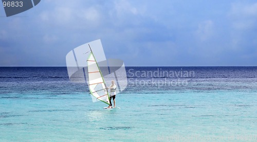 Image of windsurfer