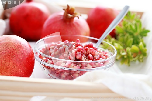 Image of pomegranate