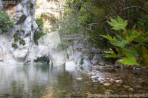 Image of Mountain river