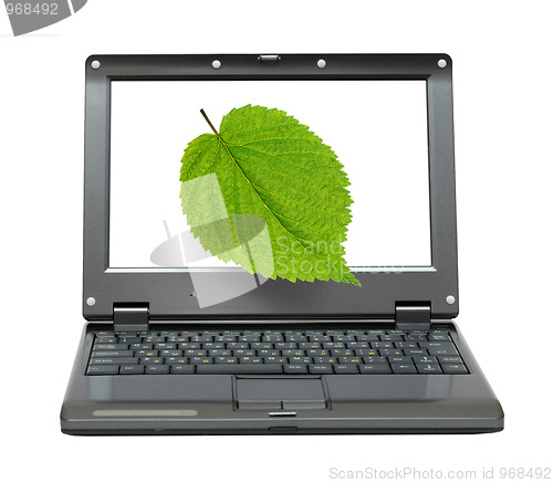 Image of laptop with green leaf