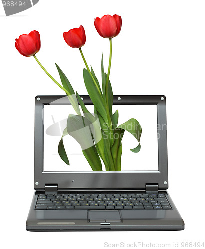 Image of laptop with tulips bouquet