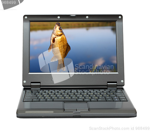 Image of small laptop with fishing themes