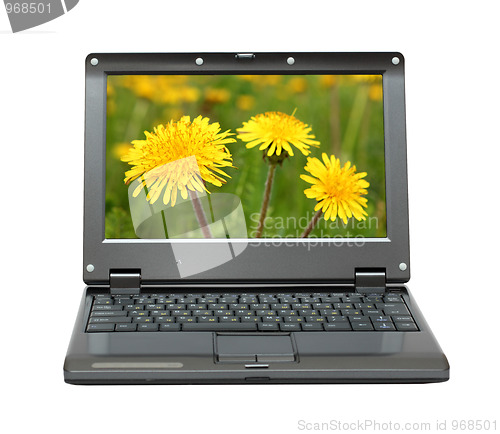 Image of laptop with dandelions on meadow