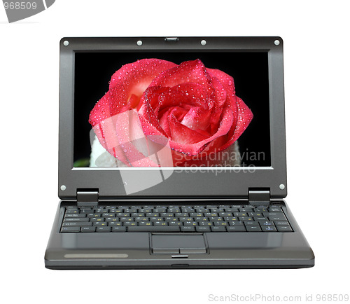 Image of laptop with red rose on screen