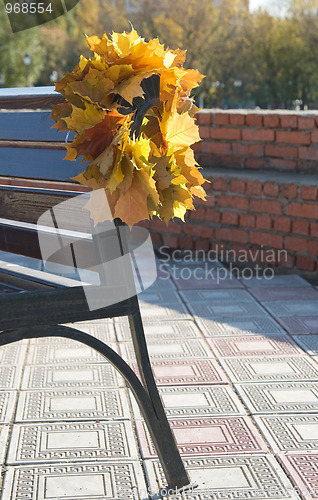 Image of Autumn romance