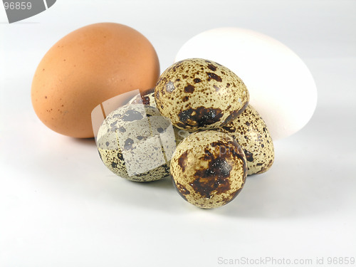 Image of eggs