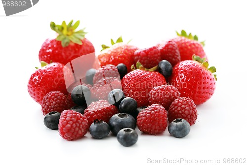 Image of berry fruits