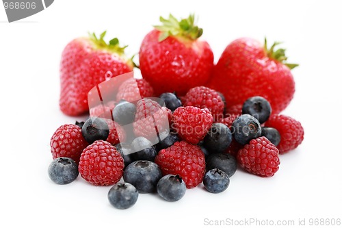 Image of berry fruits
