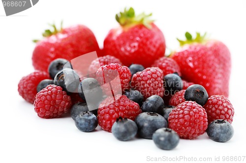 Image of berry fruits