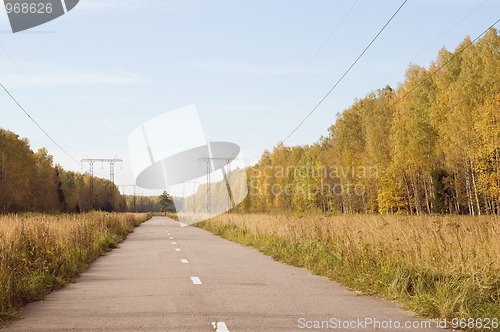 Image of Asphalt road in autumn