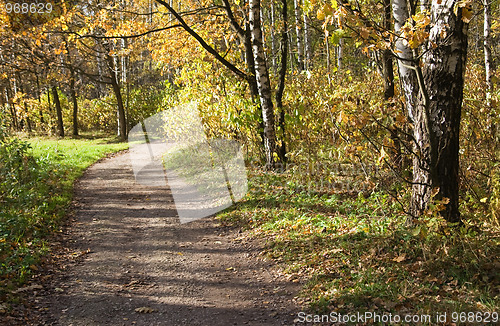 Image of Autumn park