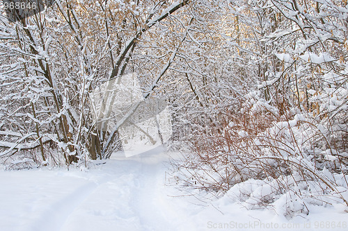 Image of Winter alley