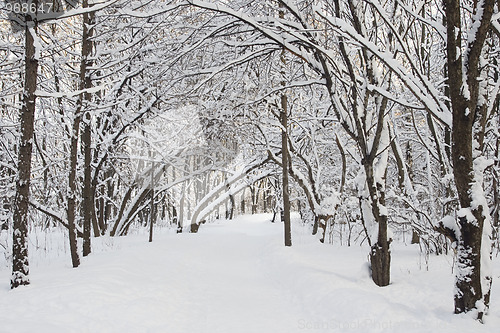 Image of Winter alley