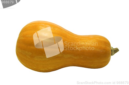 Image of Pumpkin on white