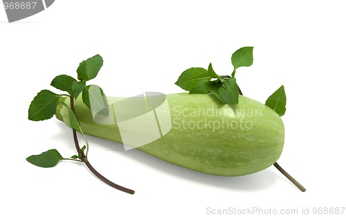 Image of Vegetable marrow