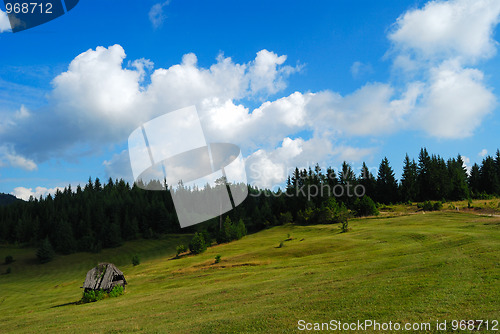 Image of Field and sky