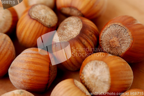 Image of Hazelnut
