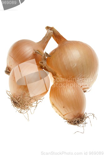 Image of Four ripe onions