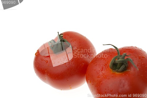 Image of The red tomatoes 