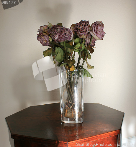 Image of Withered roses in a vase