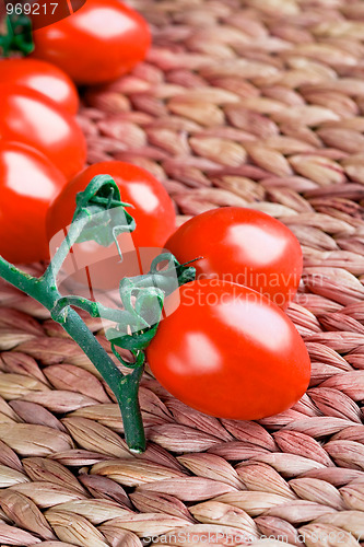 Image of tomatoes bunch 