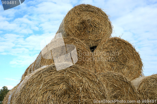 Image of Hay bales