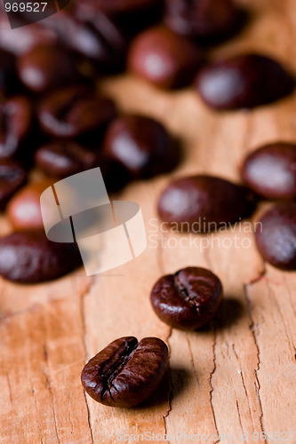 Image of coffee beans 