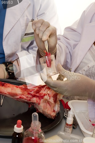 Image of Obtaining a sample