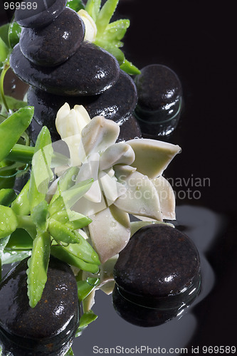 Image of Spa still life with black stones