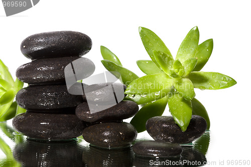 Image of Spa still life with black stones