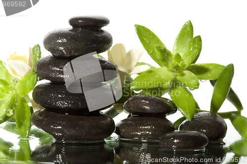 Image of Spa still life with black stones
