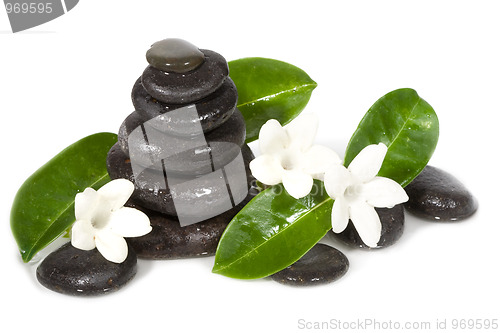 Image of Spa still life with black stones