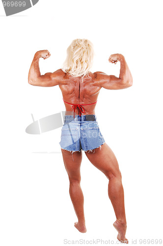Image of Bodybuilding woman.
