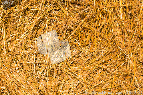 Image of Straw