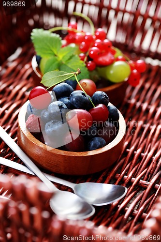 Image of berry fruits