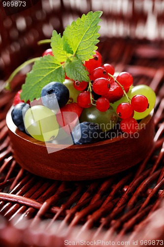 Image of berry fruits