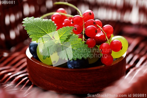 Image of berry fruits