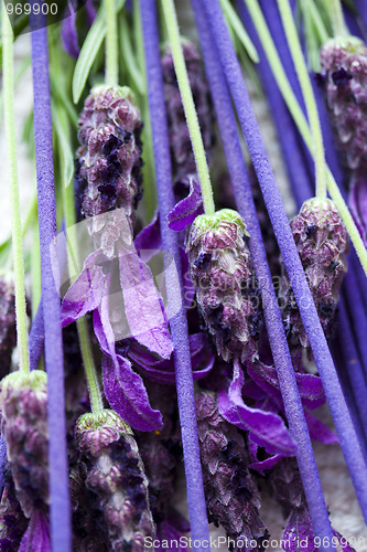 Image of incense sticks