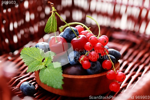 Image of berry fruits