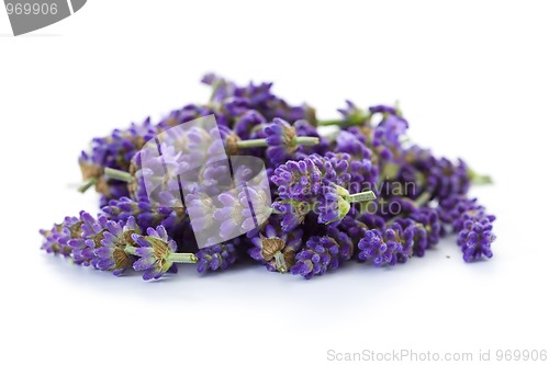 Image of pile of lavender