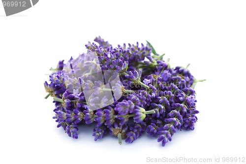 Image of pile of lavender