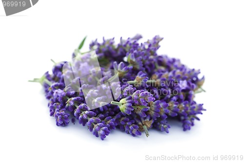 Image of pile of lavender