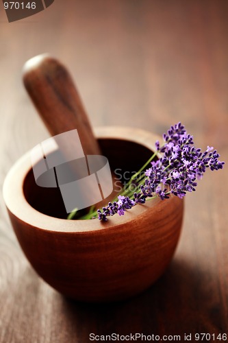 Image of lavender with mortar and pestle