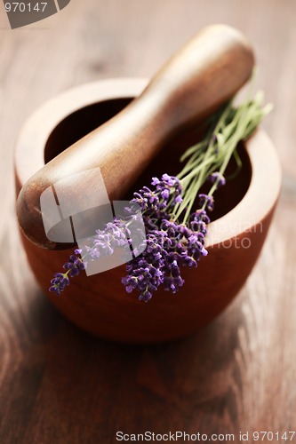 Image of lavender with mortar and pestle