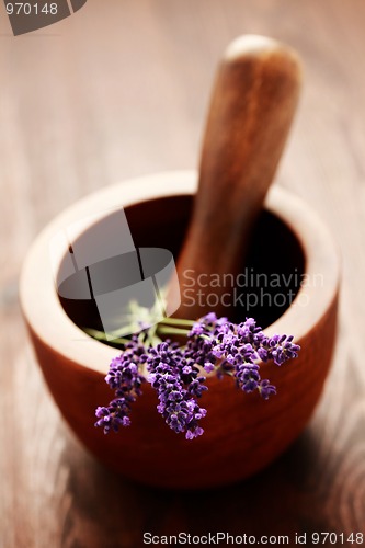 Image of lavender with mortar and pestle