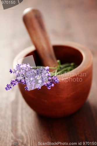 Image of lavender with mortar and pestle