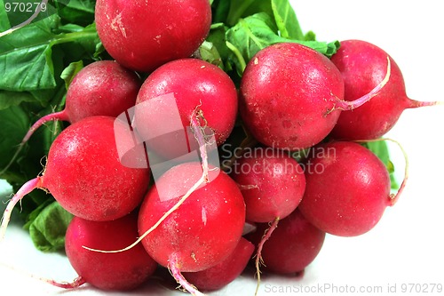 Image of Radishes 