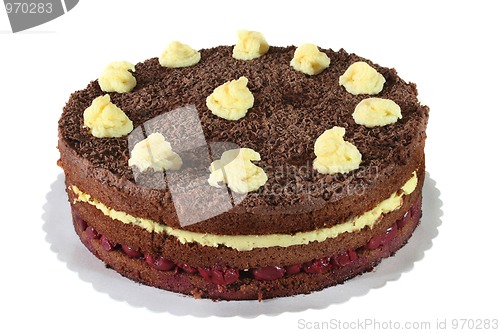 Image of Chocolate Cake